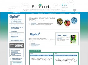 Création du site internet de la société Elicityl