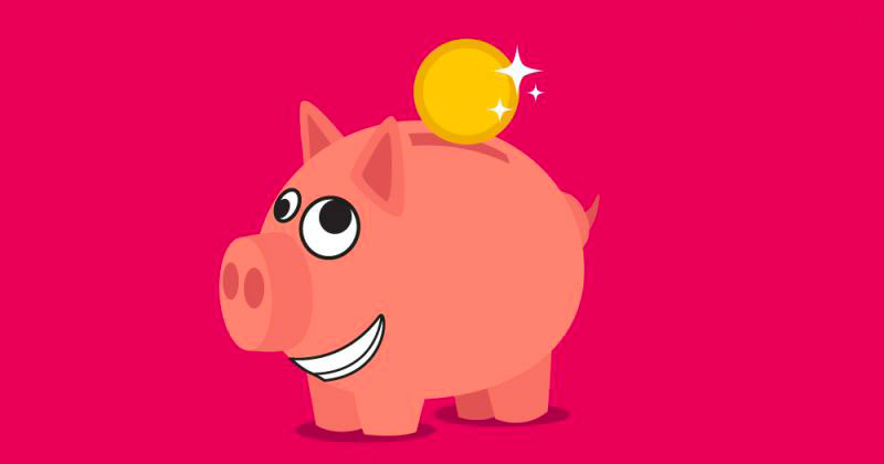 illustration cochon