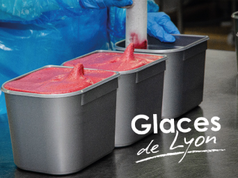 Communication web et print Glaces de Lyon