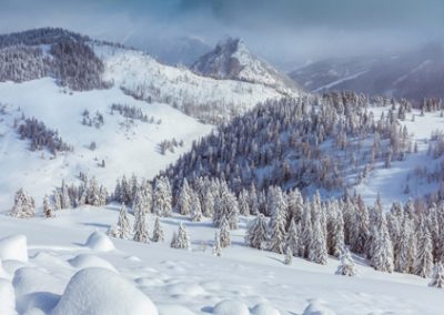 Site internet station ski – magasin ski – professionnel de la montagne