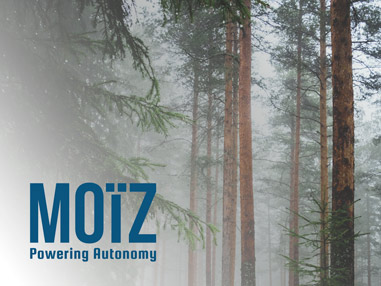 Site internet de la start-up MOÏZ