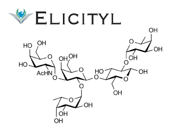 Refonte du site internet d’Elicityl avec PrestaShop
