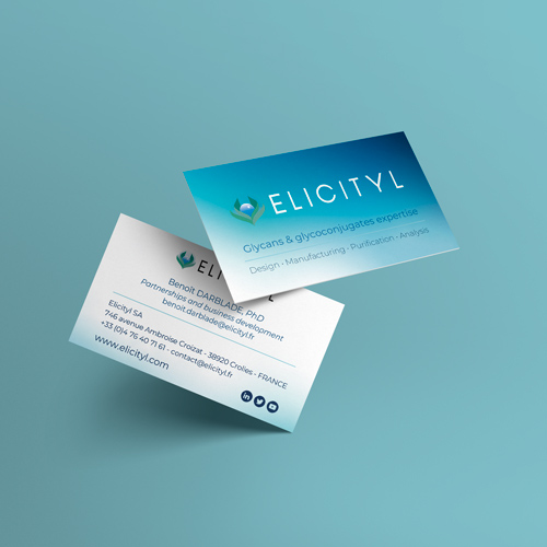 Carte de visite réalisé pour Elicityl