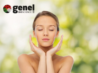 Accompagnement digital Genel